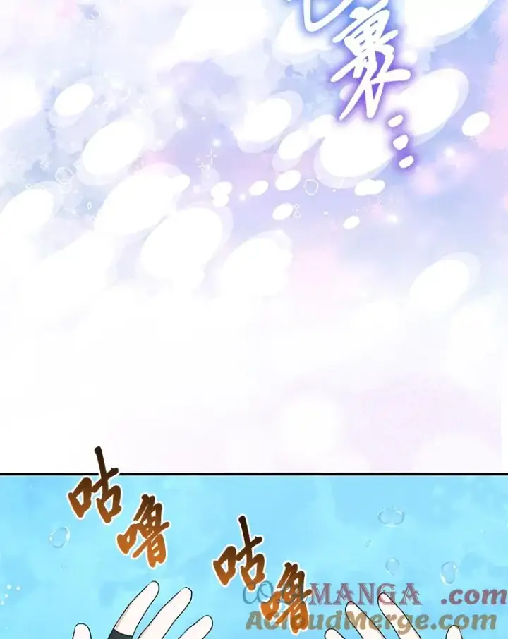 漫画《完美演绎养女角色》57.与精灵缔约第85张图