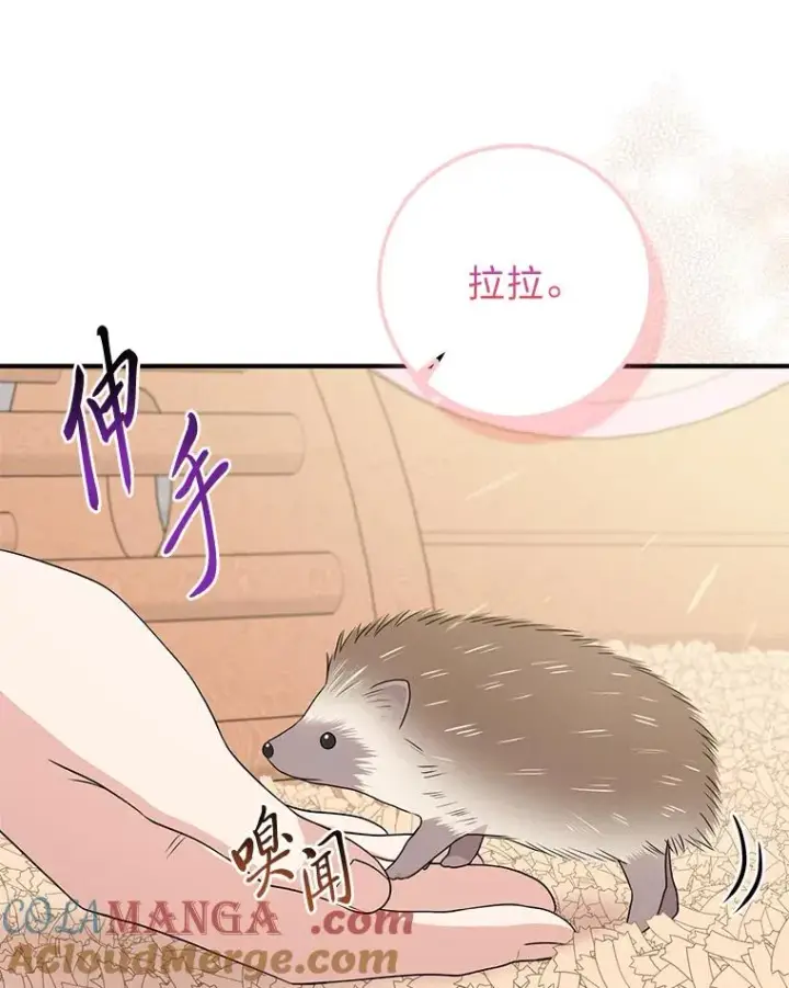 漫画《完美演绎养女角色》62.救场第97张图
