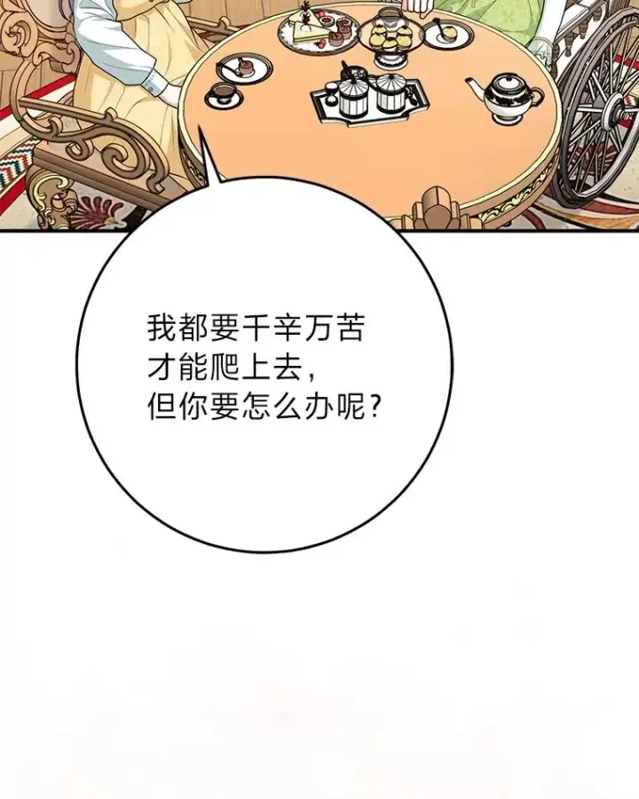 漫画《完美演绎养女角色》65.谁来护送薇欧拉第108张图