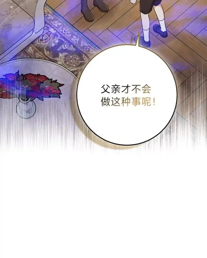 漫画《完美演绎养女角色》65.谁来护送薇欧拉第35张图