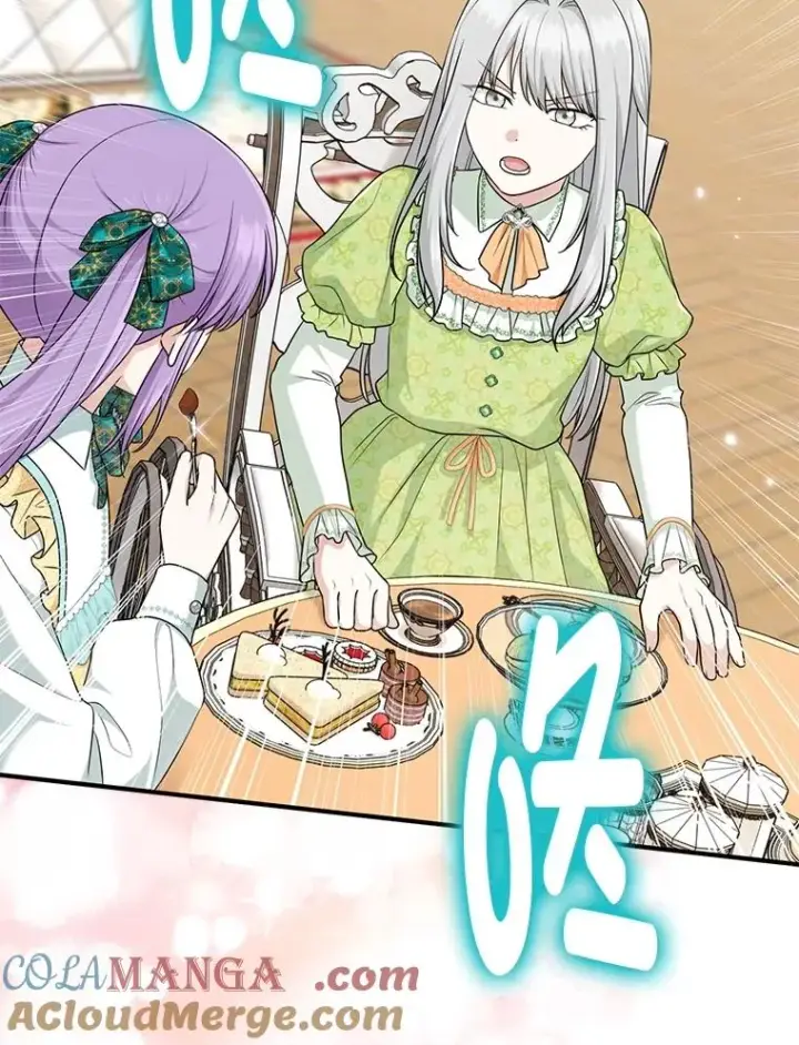 漫画《完美演绎养女角色》65.谁来护送薇欧拉第93张图