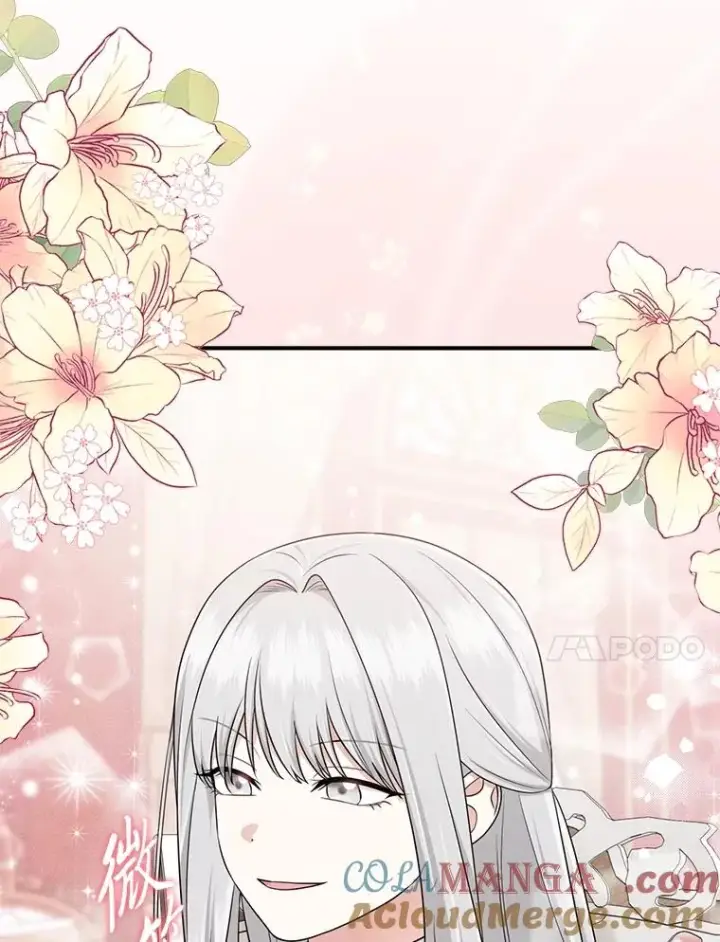 漫画《完美演绎养女角色》65.谁来护送薇欧拉第97张图