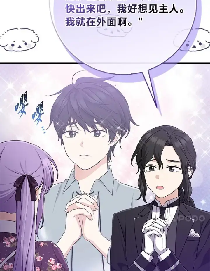 漫画《完美演绎养女角色》66.薇欧拉的大型犬第79张图