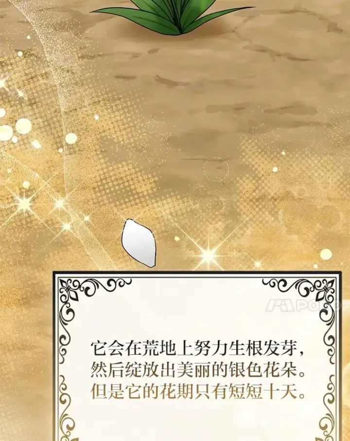 漫画《完美演绎养女角色》69.薇欧拉的理由第124张图