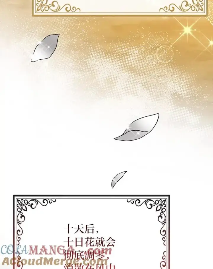 漫画《完美演绎养女角色》69.薇欧拉的理由第125张图