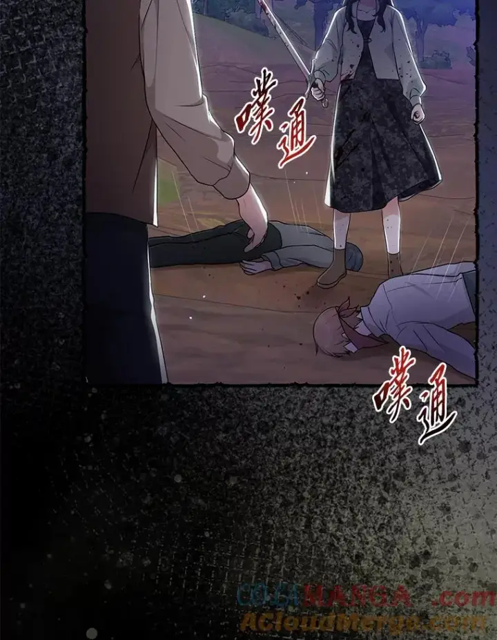 漫画《完美演绎养女角色》69.薇欧拉的理由第41张图
