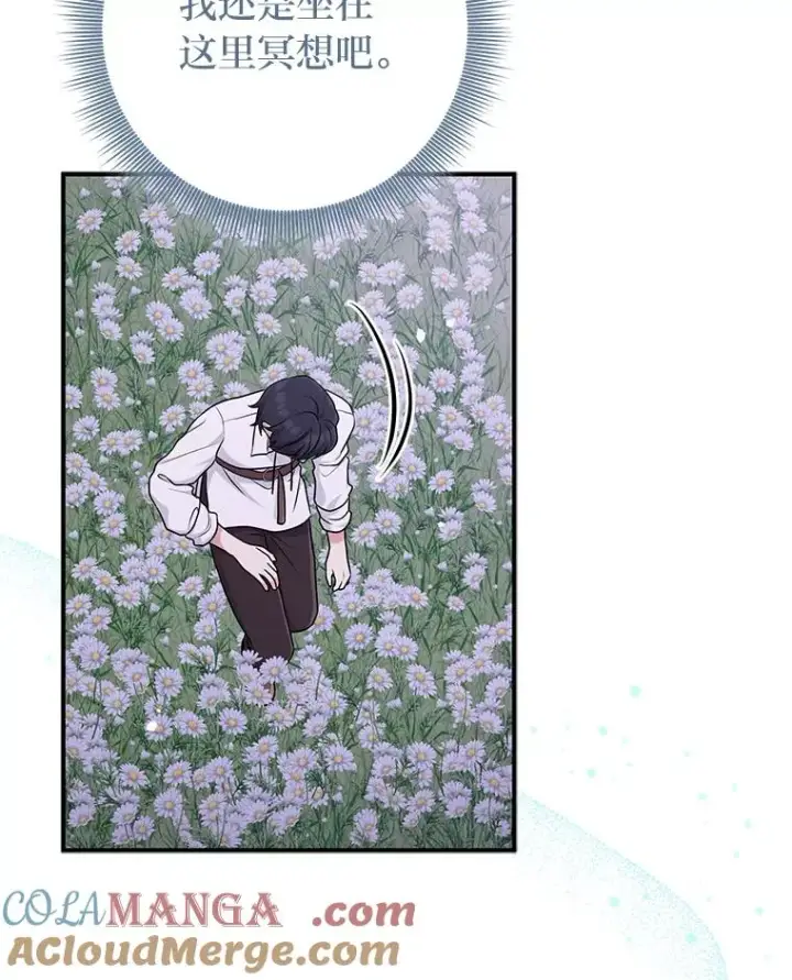 漫画《完美演绎养女角色》75.在花田相遇第33张图