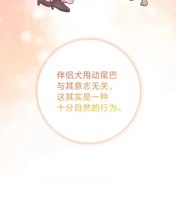 漫画《完美演绎养女角色》75.在花田相遇第76张图