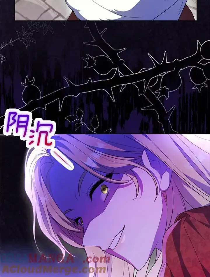 《为何执着于假妻子？》1.悲惨前世图101