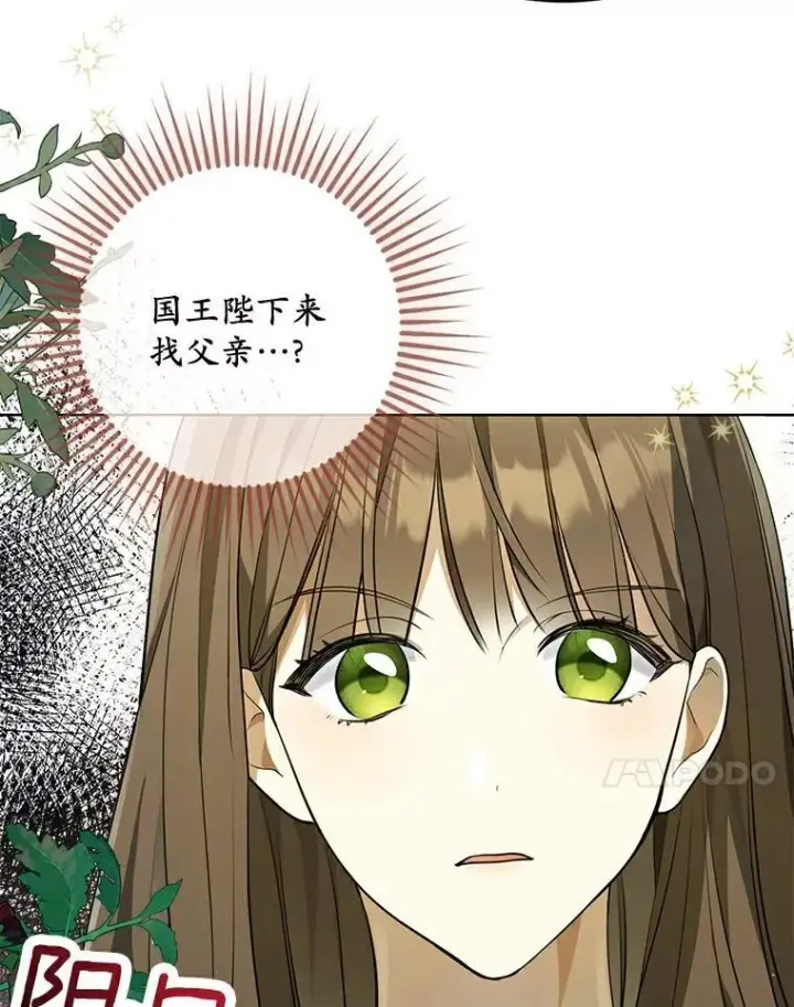 《为何执着于假妻子？》2.陛下到访图34