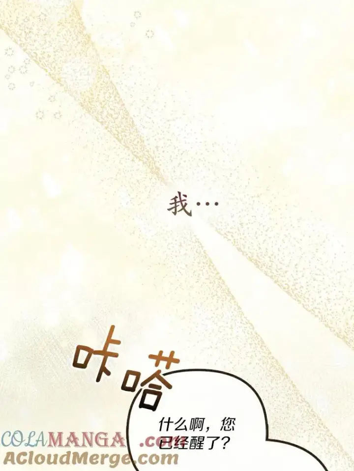 《为何执着于假妻子？》2.陛下到访图5