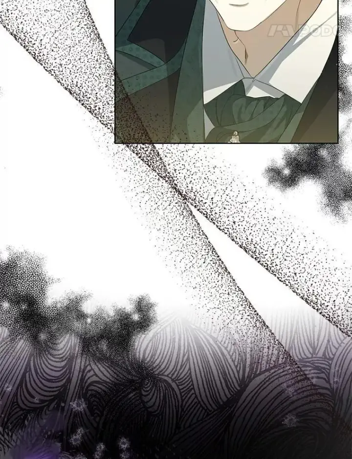 漫画《为何执着于假妻子？》3.说服公爵第14张图