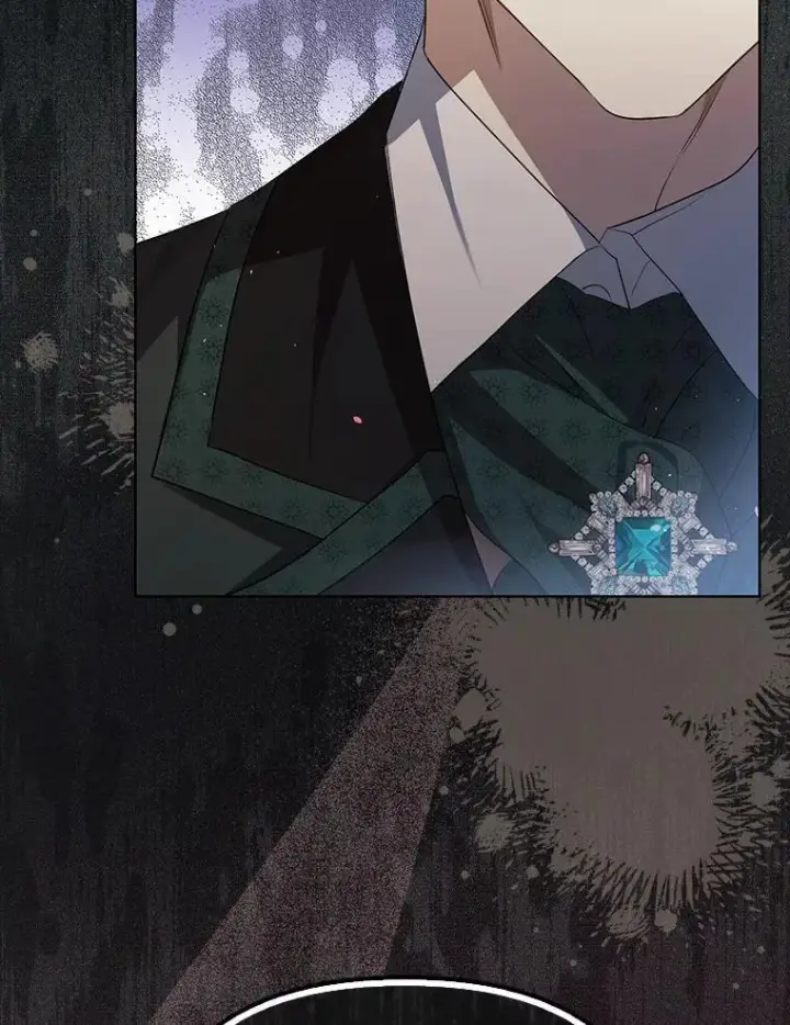 漫画《为何执着于假妻子？》3.说服公爵第36张图