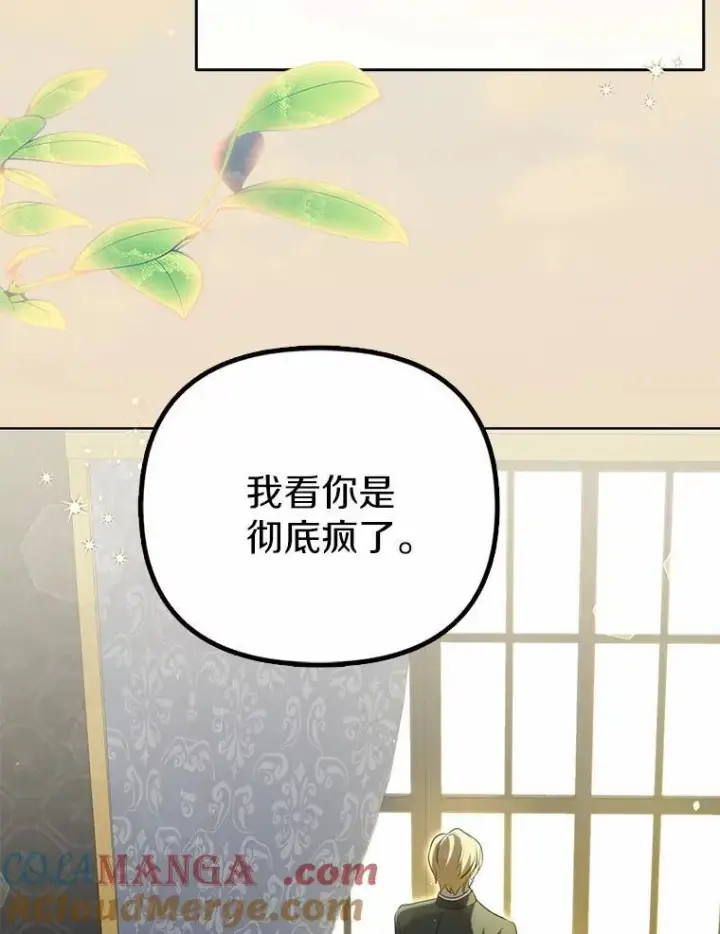 漫画《为何执着于假妻子？》3.说服公爵第41张图