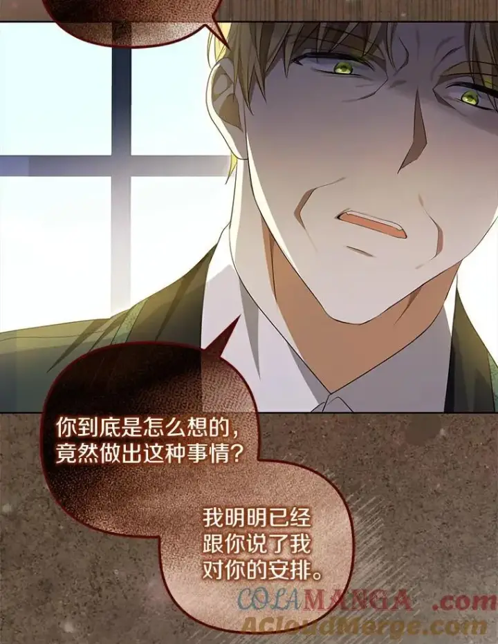 漫画《为何执着于假妻子？》3.说服公爵第49张图