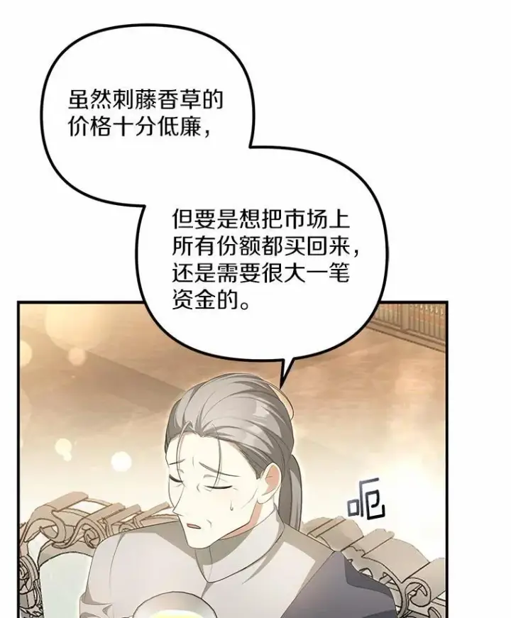 漫画《为何执着于假妻子？》11.筹备生意第47张图