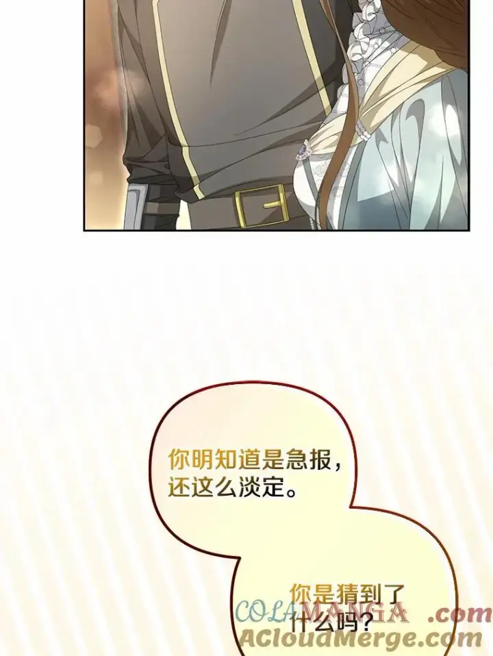 漫画《为何执着于假妻子？》13.边境急报第105张图