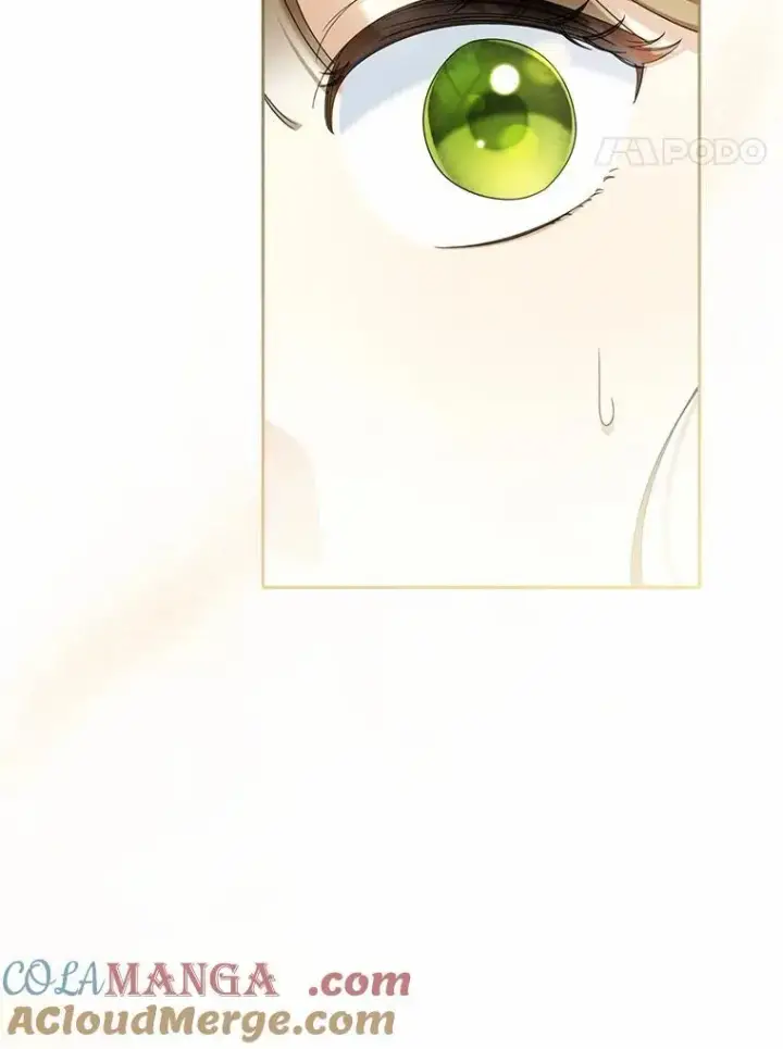 漫画《为何执着于假妻子？》22.女仆助攻第109张图