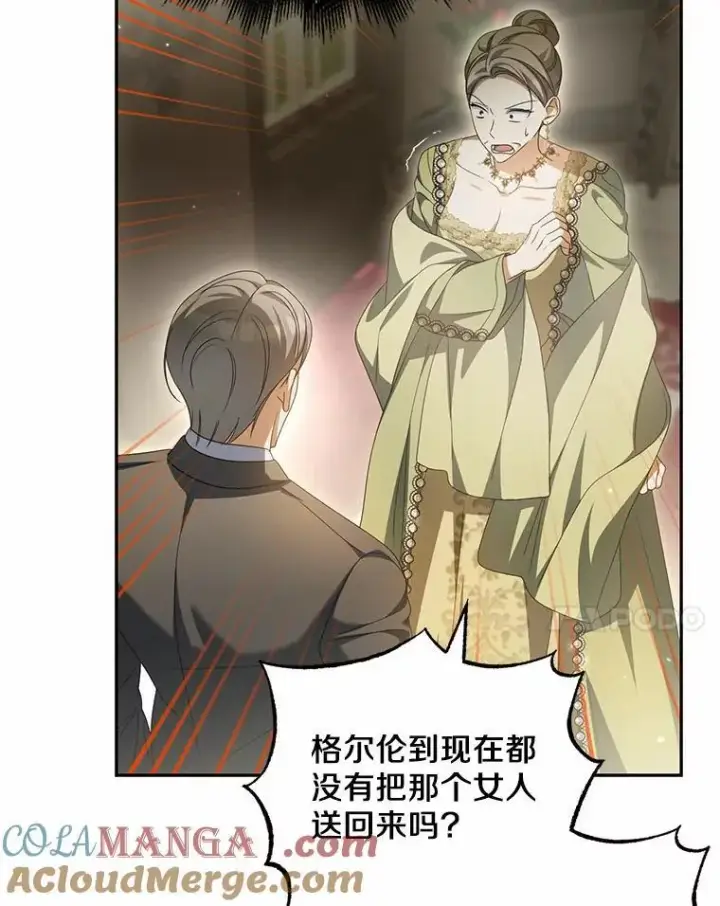 漫画《为何执着于假妻子？》22.女仆助攻第17张图