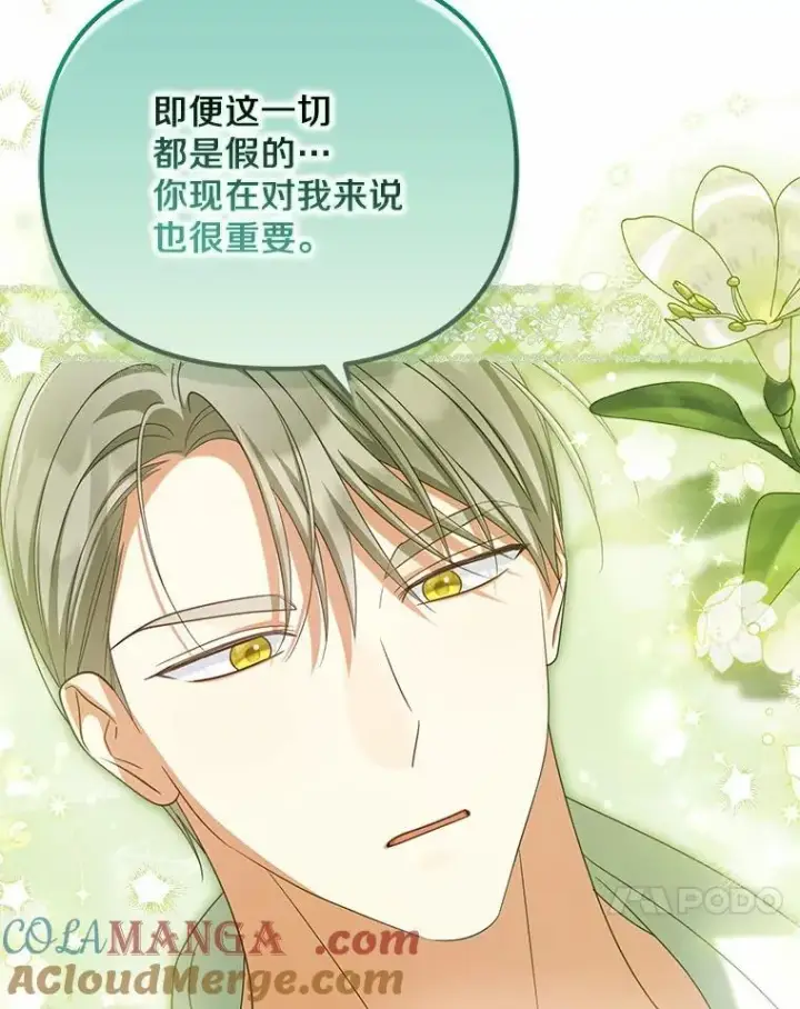 漫画《为何执着于假妻子？》33.坦白真相第101张图