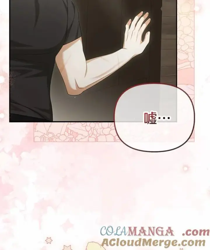 漫画《为何执着于假妻子？》36.制造机会第117张图