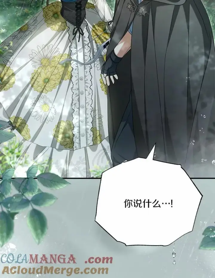 漫画《为何执着于假妻子？》36.制造机会第65张图