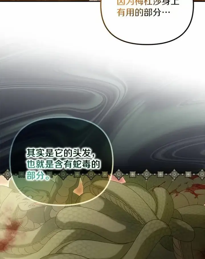 漫画《为何执着于假妻子？》38.药材特产第31张图