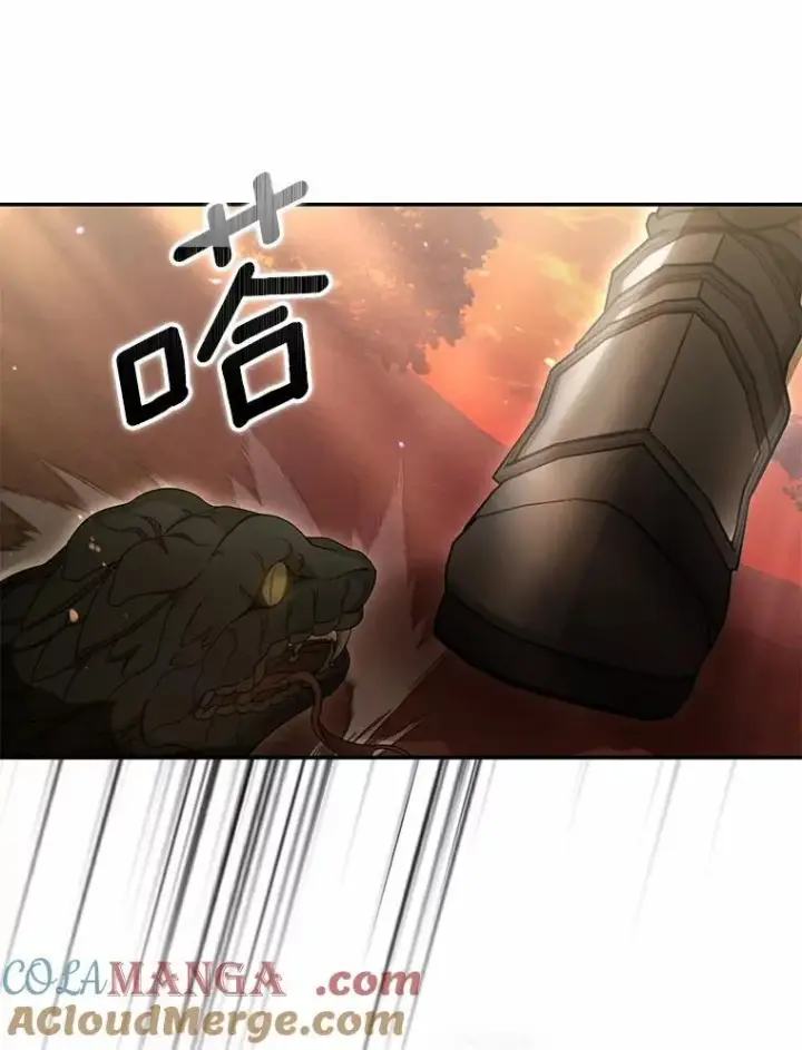 漫画《为何执着于假妻子？》38.药材特产第41张图