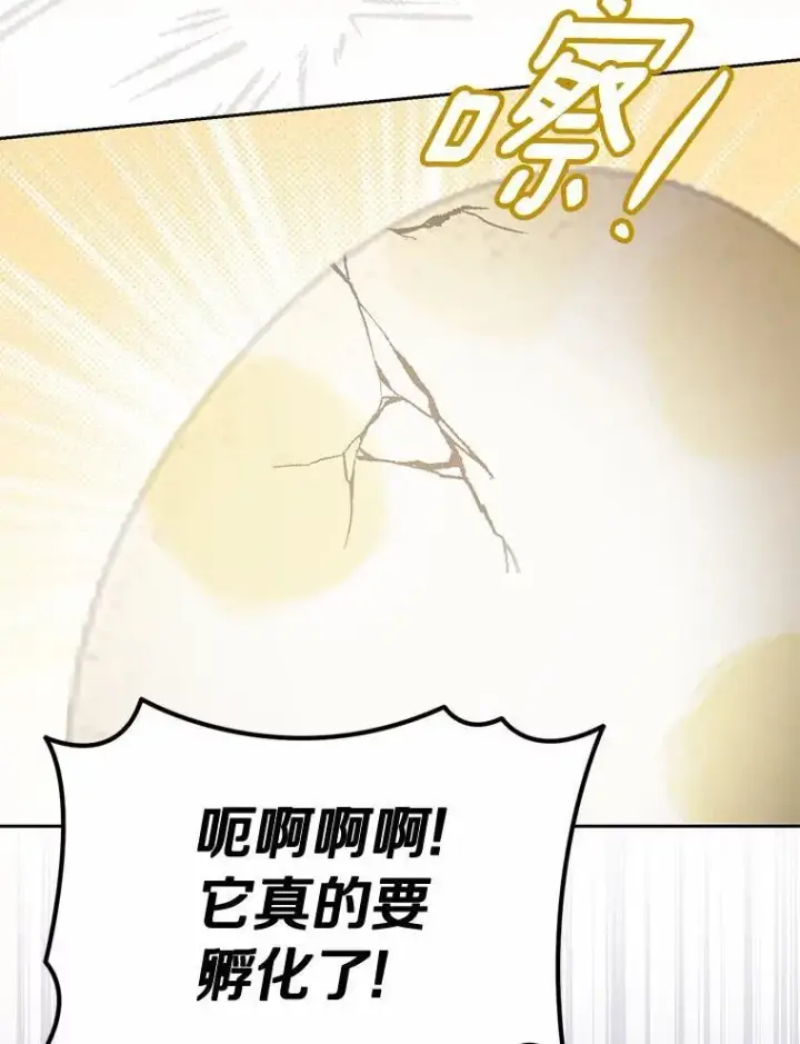 漫画《为何执着于假妻子？》39.礼物第94张图