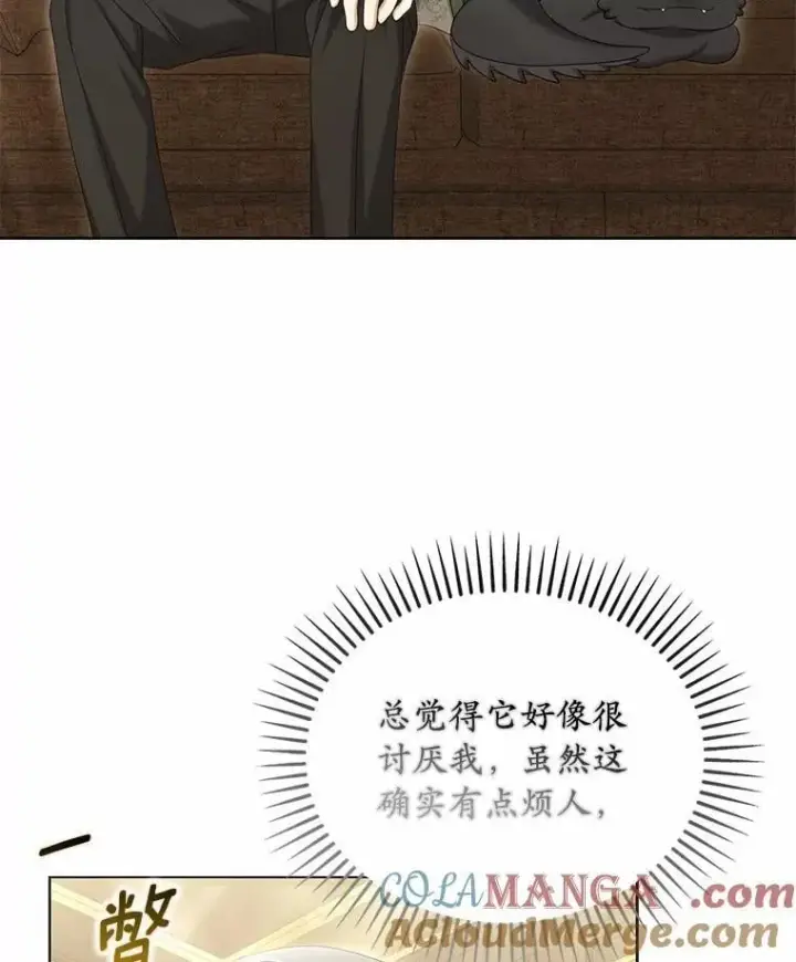 漫画《为何执着于假妻子？》41.试穿第97张图