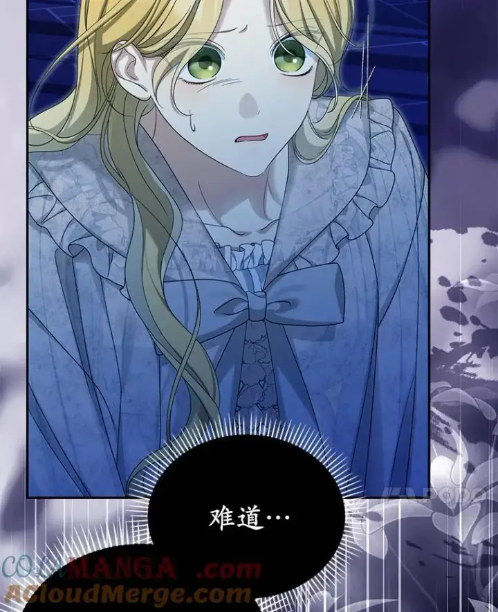 漫画《为何执着于假妻子？》52.并非亲生第17张图