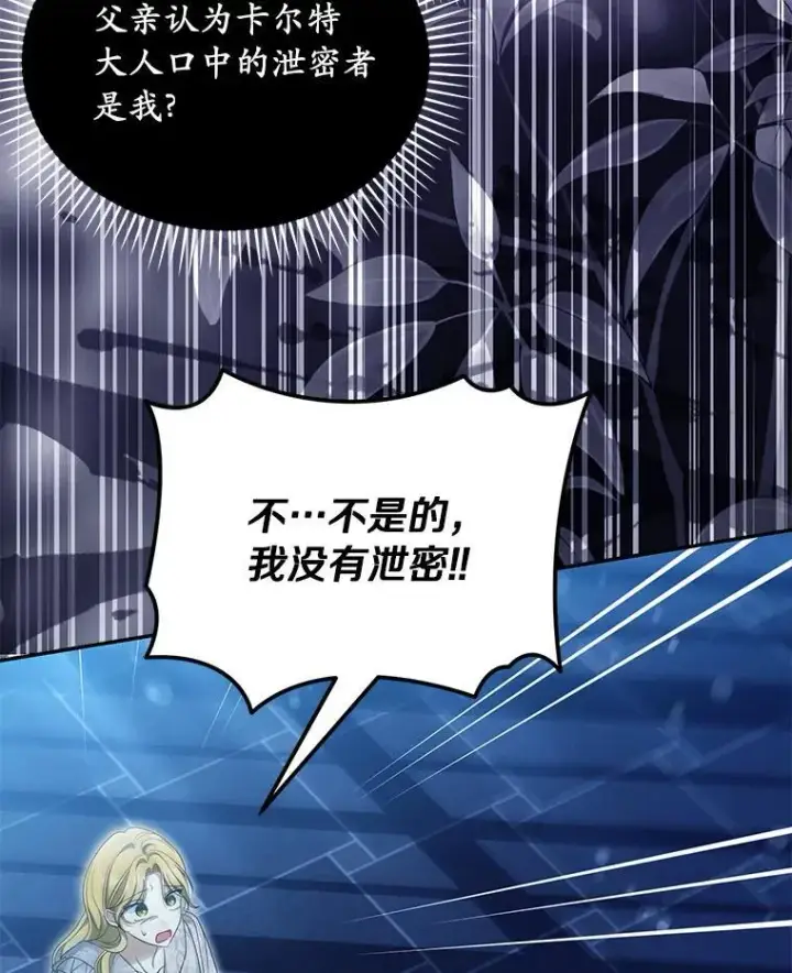 漫画《为何执着于假妻子？》52.并非亲生第18张图