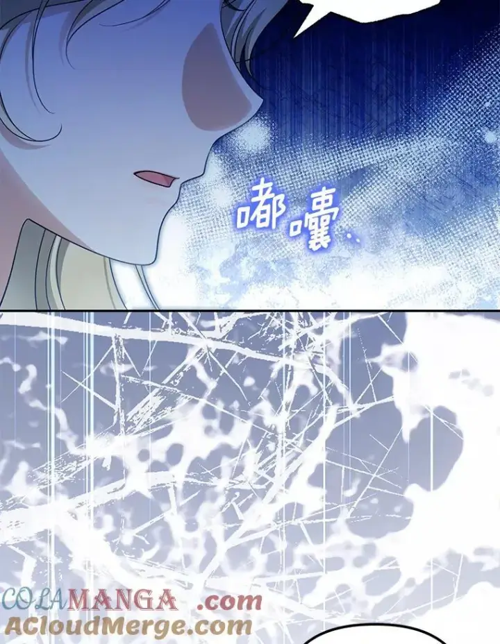 漫画《为何执着于假妻子？》52.并非亲生第5张图