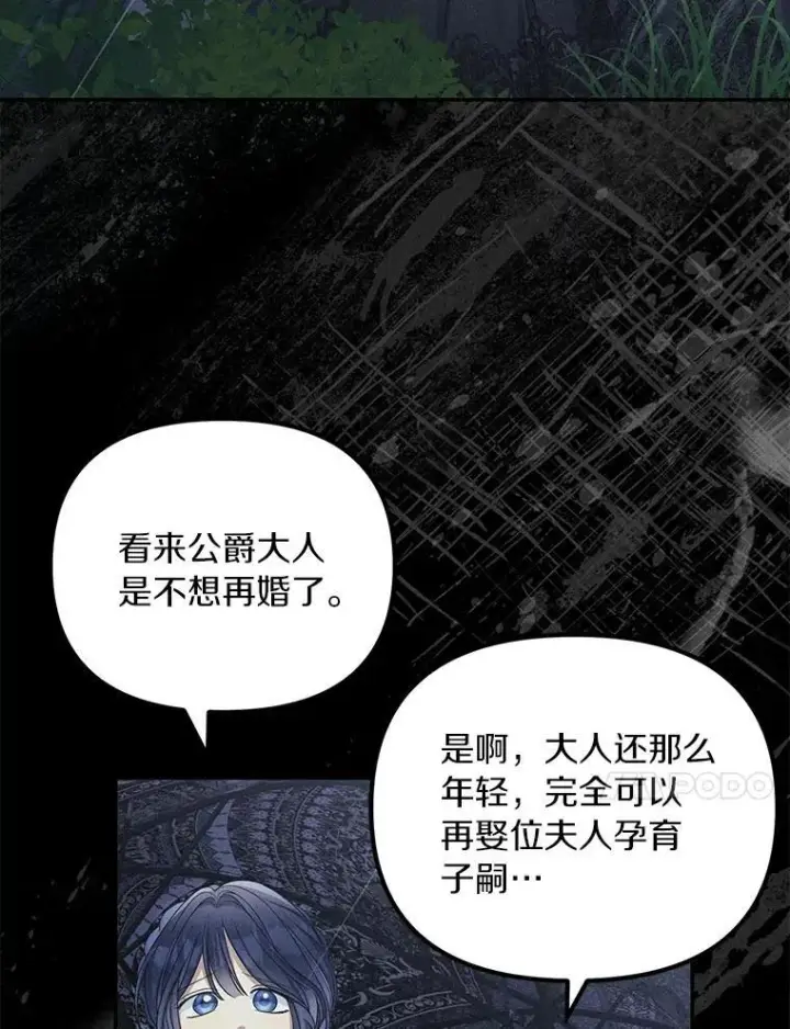 漫画《为何执着于假妻子？》52.并非亲生第75张图
