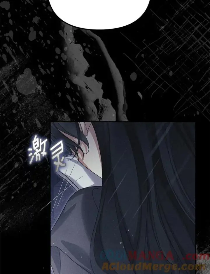 漫画《为何执着于假妻子？》52.并非亲生第77张图
