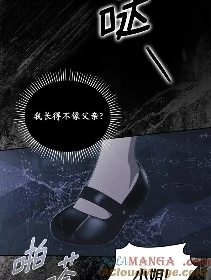 漫画《为何执着于假妻子？》52.并非亲生第81张图