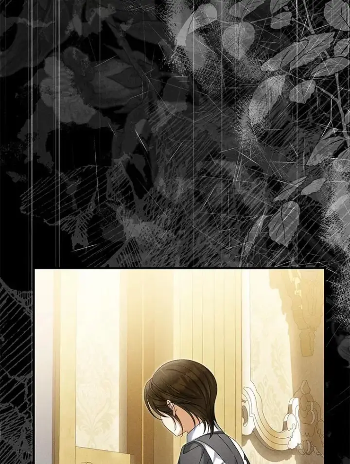 漫画《为何执着于假妻子？》52.并非亲生第94张图