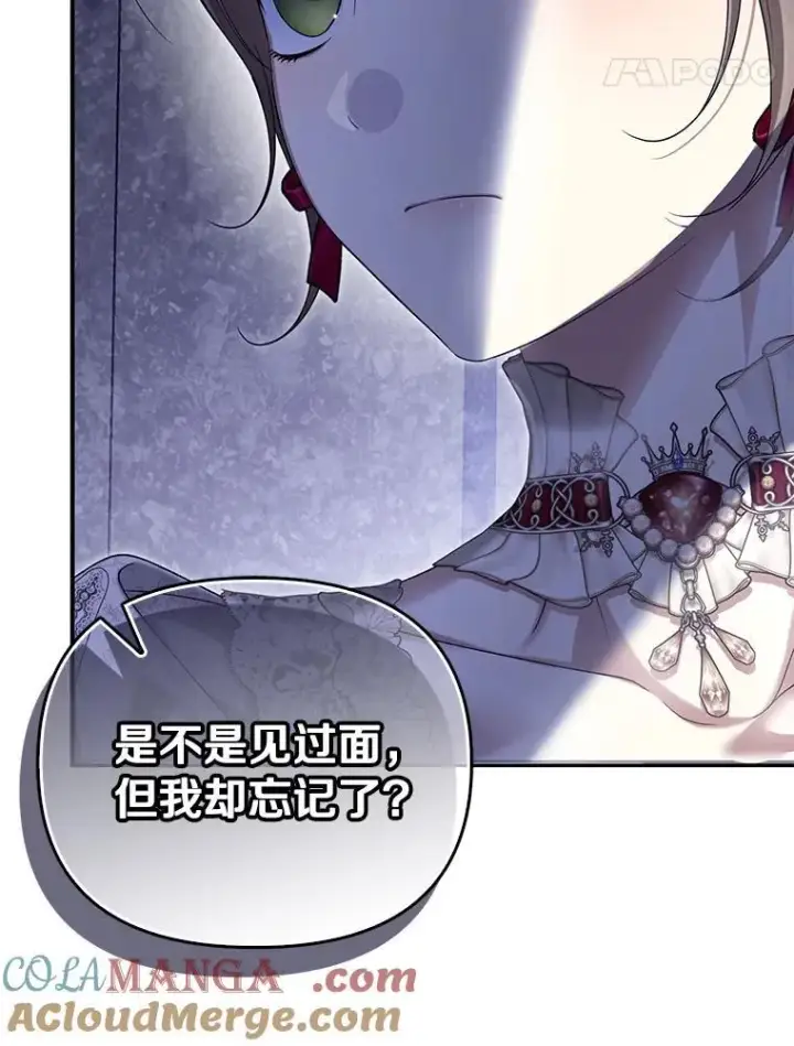 漫画《为何执着于假妻子？》59.最后的机会第109张图