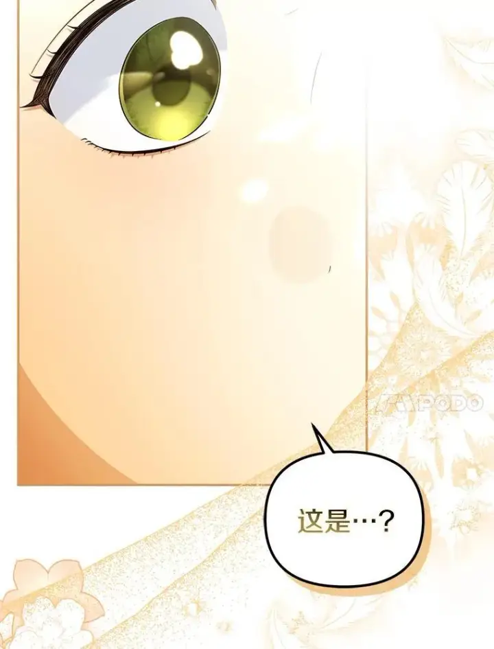 漫画《为何执着于假妻子？》61.离开都城第59张图