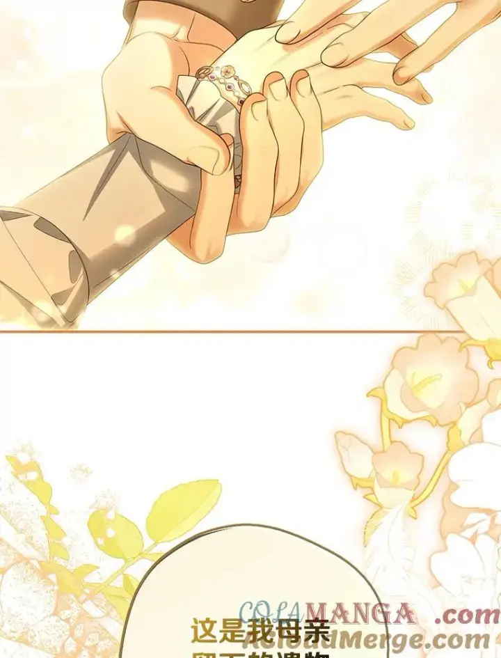 漫画《为何执着于假妻子？》61.离开都城第61张图
