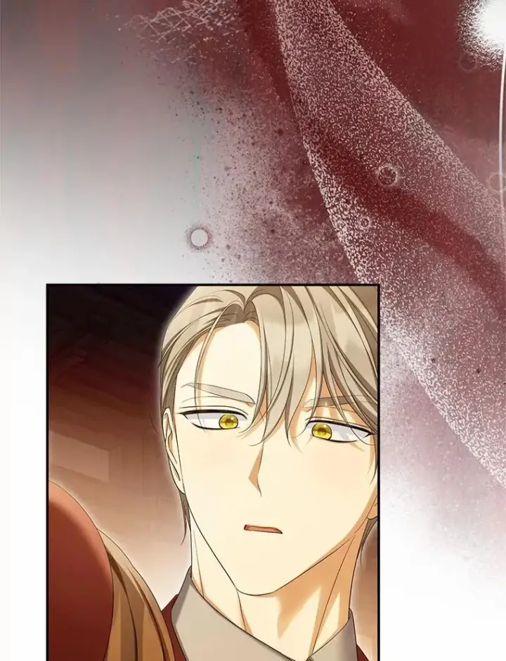 漫画《为何执着于假妻子？》63.回到领地第31张图