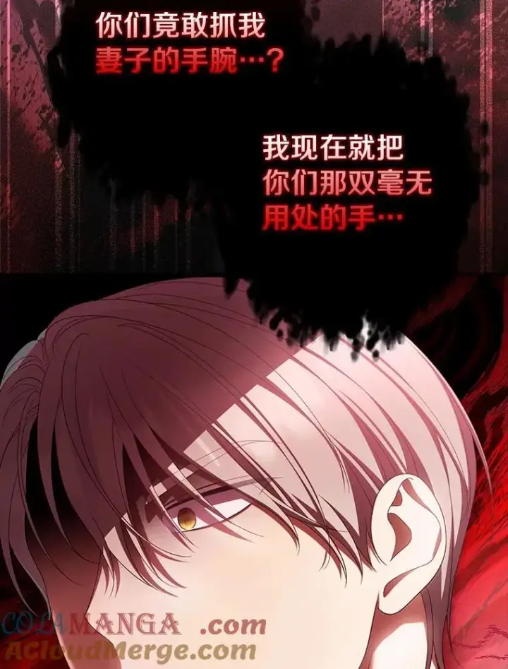 漫画《为何执着于假妻子？》63.回到领地第9张图