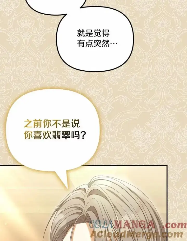 漫画《为何执着于假妻子？》64.我喜欢翡翠第89张图