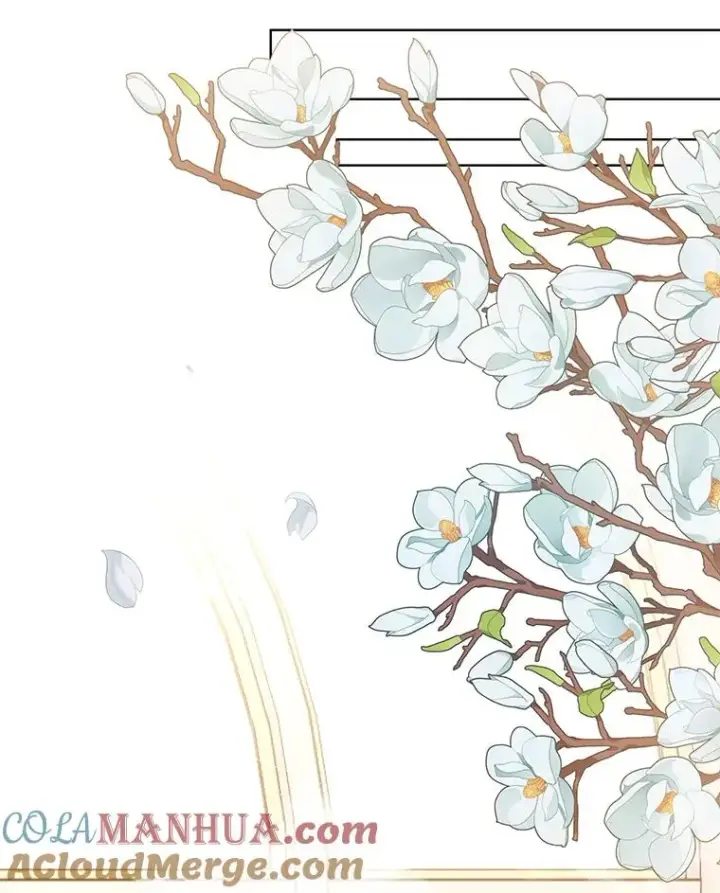 漫画《为了帮助你理解》59.薇尔丽受伤第33张图