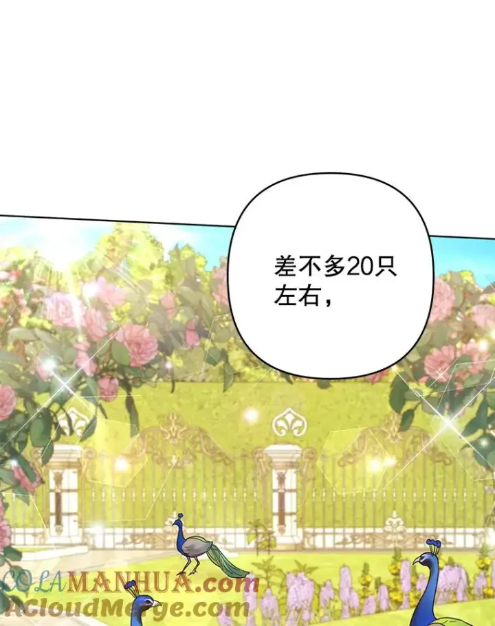 漫画《为了帮助你理解》95.计划结婚典礼第25张图