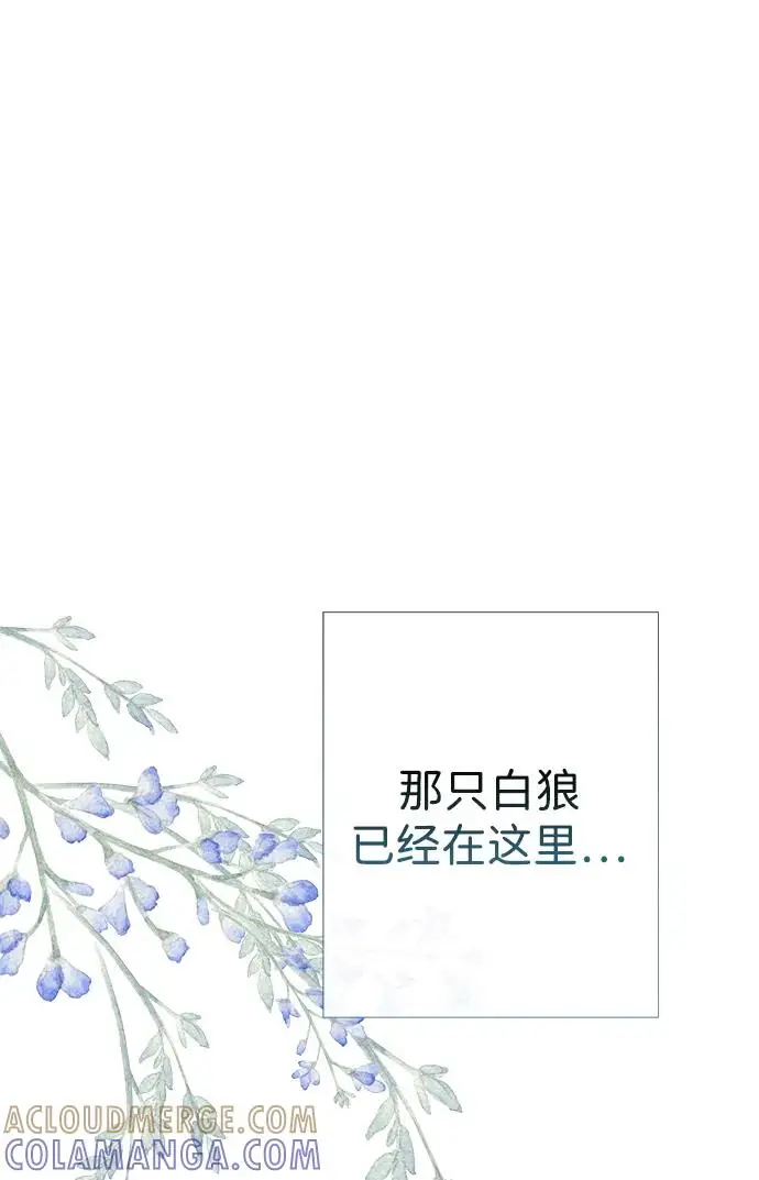 《问题王子》[第128话] 盘踞在巴福特的狼图26
