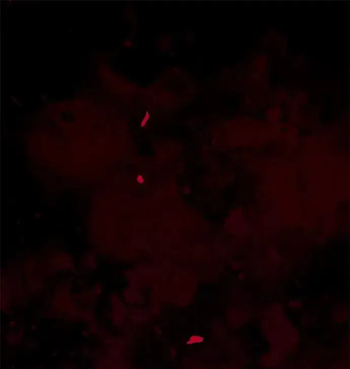 《问题王子》[第107话] 结尾和开始图67