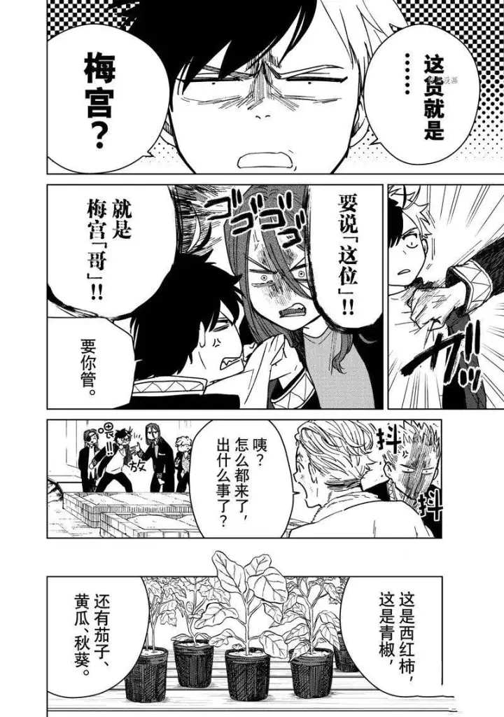 《WIND BREAKER》第7话图4