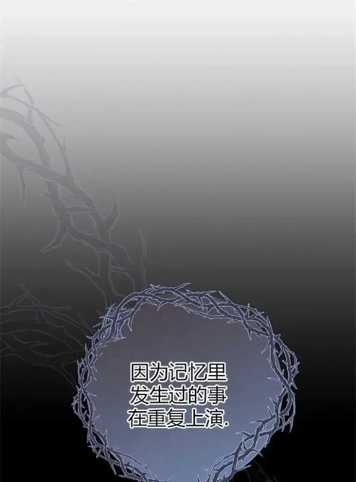 漫画《我被误会成了最终大boss的恋人》第03话第27张图