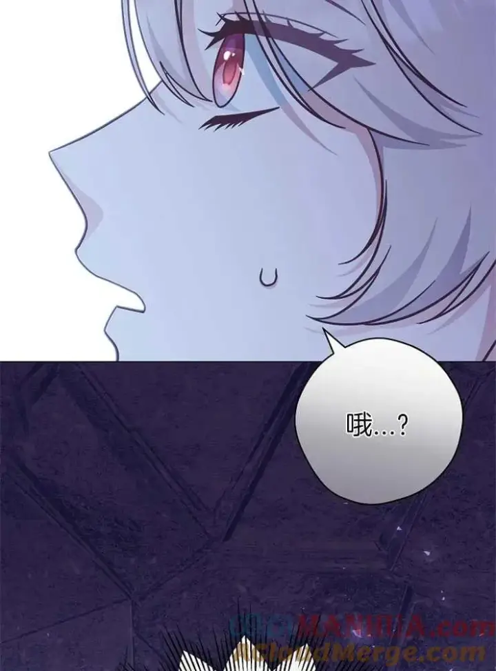漫画《我被误会成了最终大boss的恋人》第29话第17张图